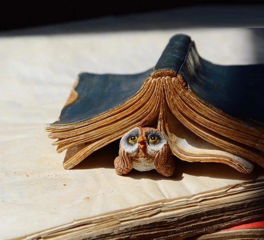 Owl with Book Statue Fairy Garden Sculpture Tabletop Figurine Home Desk Decor